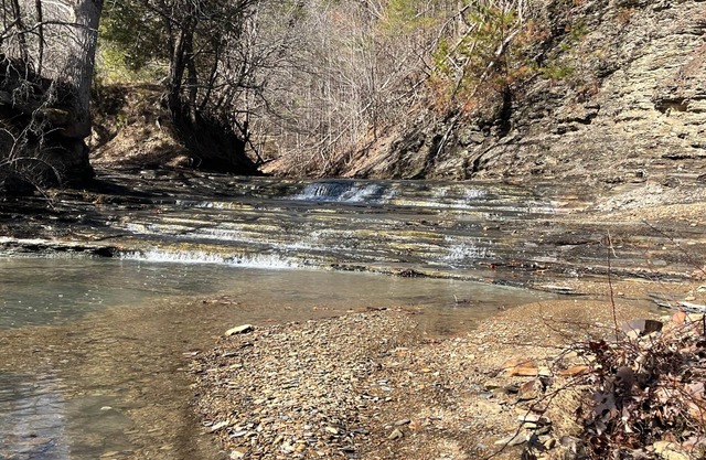 RV Campground at The Holler #6