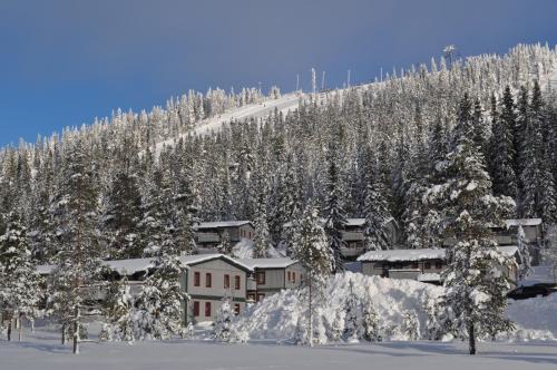 SÄLEN, Ski in-Ski out, Lägenhet 12C Grå Byn