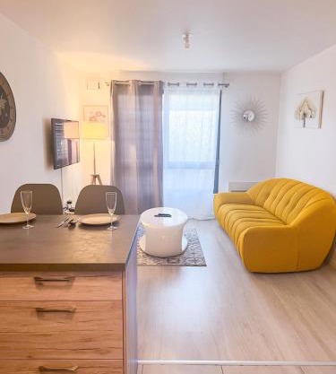 Sahara - appartement ensoleillé au cœur de Reims