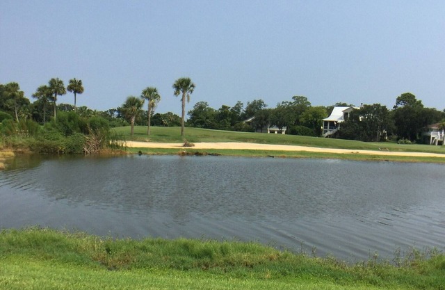 "Saintly" at Sea Palms 18th Green