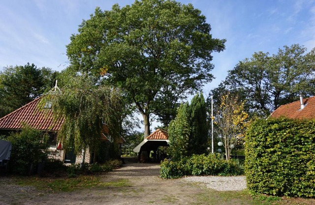 Saksisch Boerderijtje