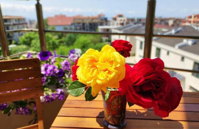 Salamander Apartment Sarafovo