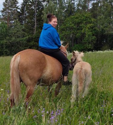 Sammalinen
