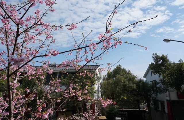 Sanyi Happiness B&B