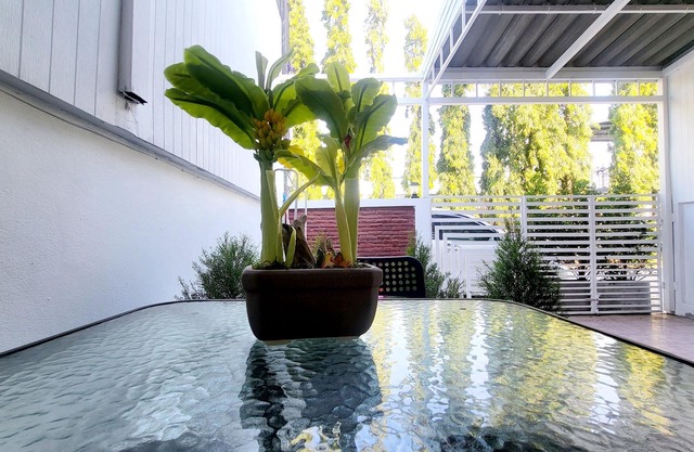 Sawasdee,Free Wifi,Large home, near Don Mueang Airport,Occupy the whole house.