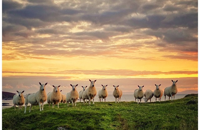 SCOTTISH ISLAND ISLE OF GIGHA