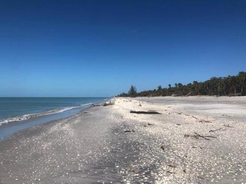 Sea Star 3 bedroom 2 bath BBQ