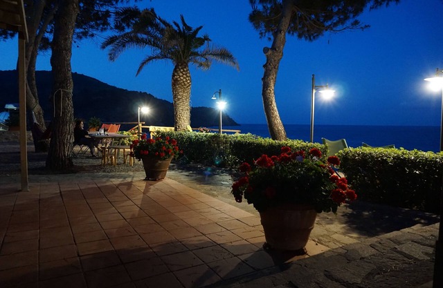 Seaside apartment 50 meters from the beach with private pine forest