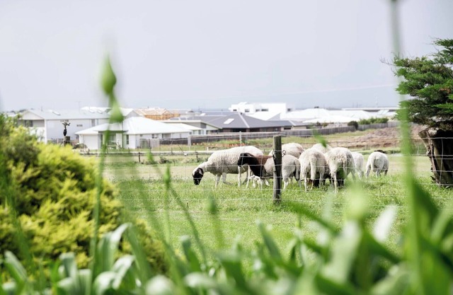 Seaside Country Escape