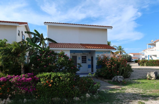 Seaside Hideaway for Divers, Dreamers, and Readers