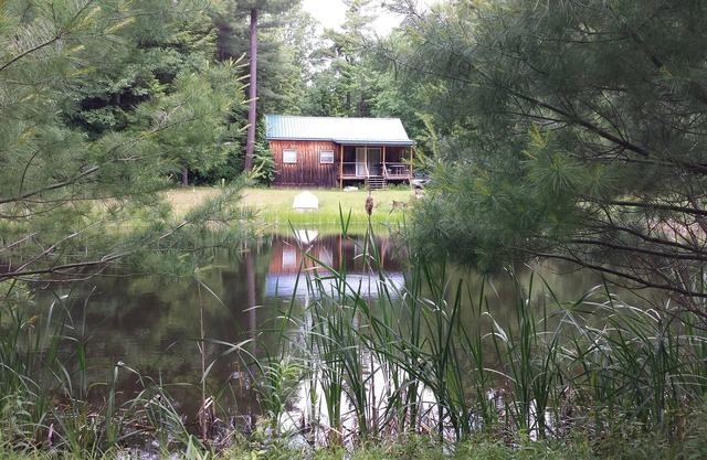 Secluded Cabin On 20 Acres & 2 Ponds Close To Wineries & Waterfalls.