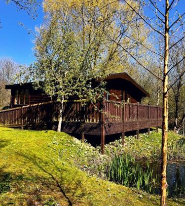 Secluded Rustic Cabin - A Digital Detox Paradise.