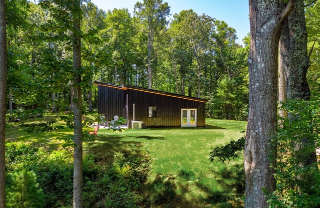 Secluded, Unique, Modern Mountain Home Near River and Blue Ridge Parkway!