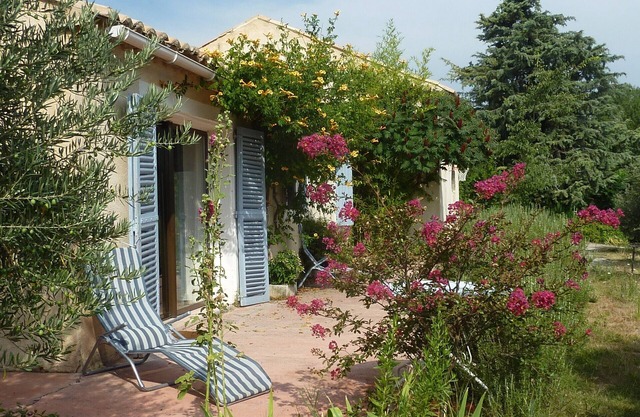 Self catering gite in an olive grove with exceptional view