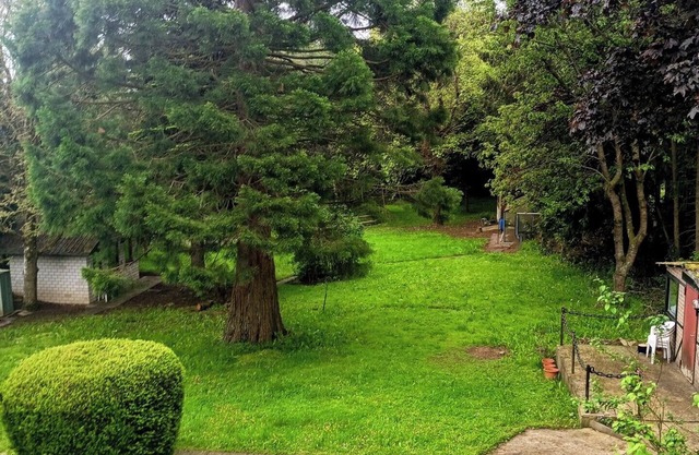 Sequoia Apt. for nature lovers, near the Nürburgring
