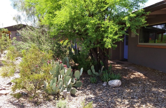 Serene and Charming, Private, Immaculate, Central, 2/1.5 Back yard and Pool