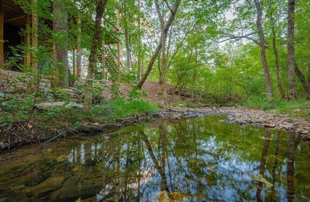 SERENE ON THE STREAM is a modern luxury cabin that overlooks a soothing, flowing