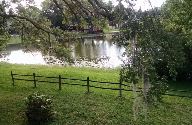 Serenity LakeHouse in Tampa