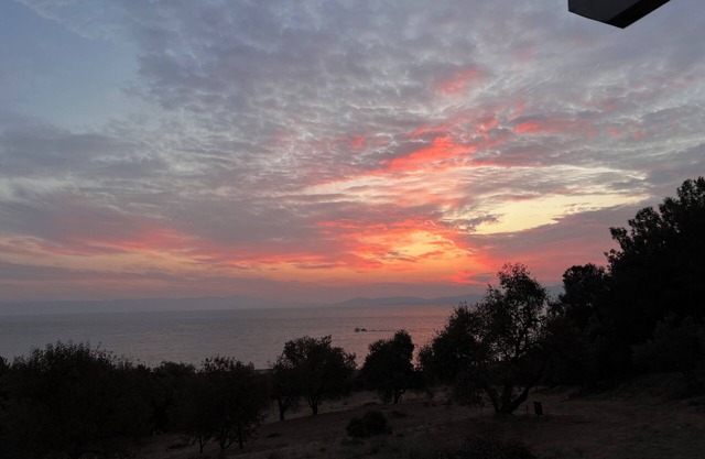 Serenity Lodge, an eco olive groove facing the Sea surrounded by pine forest