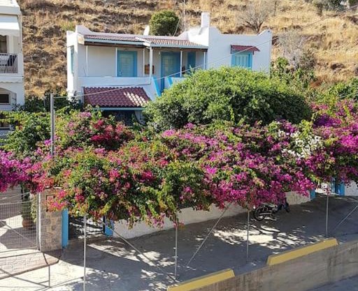 Sevasti Studios Eborios Kalymnos