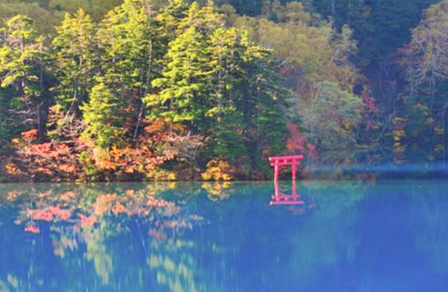 Shigakogen Lodge