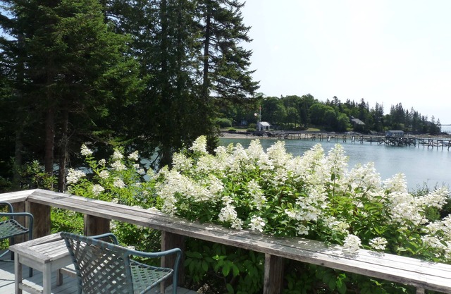 Shorefront Apartment attached to cottage with OCEAN VIEWS, close to Acadia