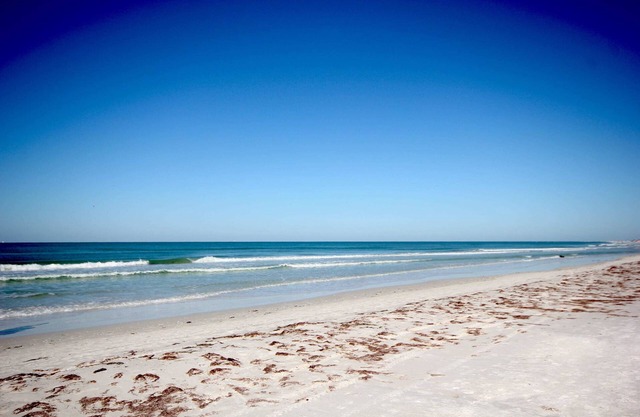 Siesta Key Haven: Beachside Pool & More