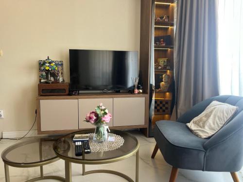 sinbia apartment