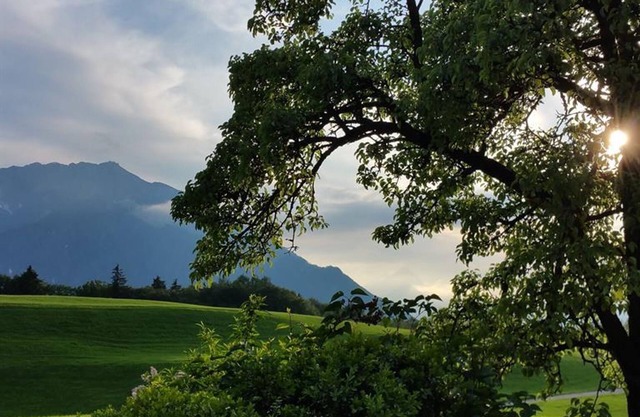 Single room with shower, WC - Angerer, Inn