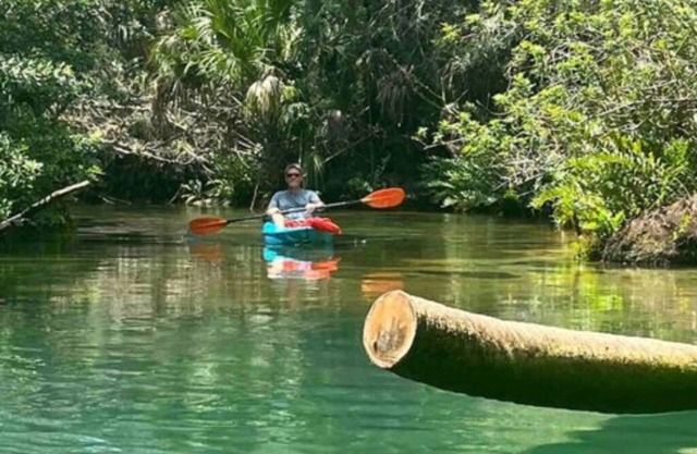 Sirenity - Neptune's Grotto Old Florida Adventure Retreats