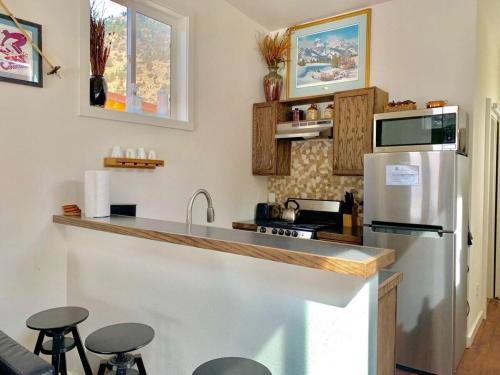 Skiers Cabin