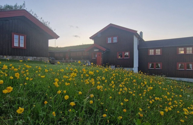 Skotten Seter Bed Husky