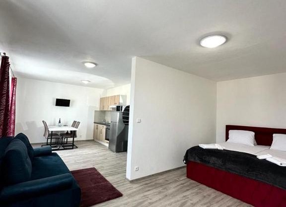Sky Apartments 501