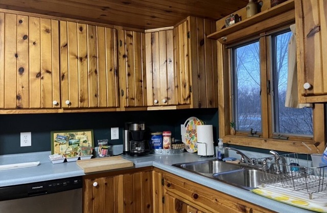 Sleeps 8-4 blks from Surf Ballroom. Cozy home large yard-across from local park!