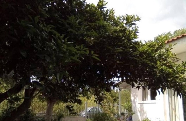 Small Vila nearby the beach and the center of the marathon
