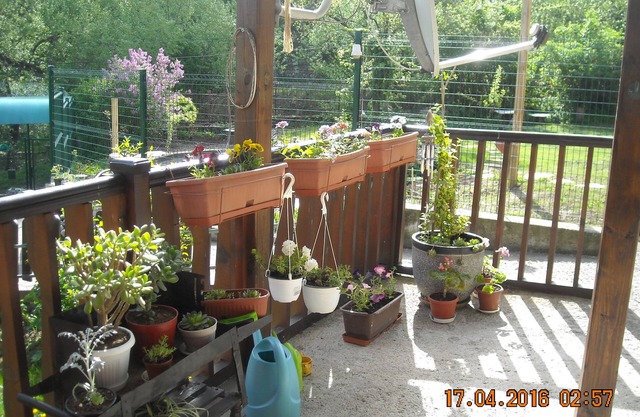 Small Beutiful House With Separate Entrance In The Outskirts Of Vitosha Mountain