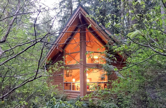 Snowline Cabin #4 - Pet-friendly cedar cabin with a private outdoor hot tub!