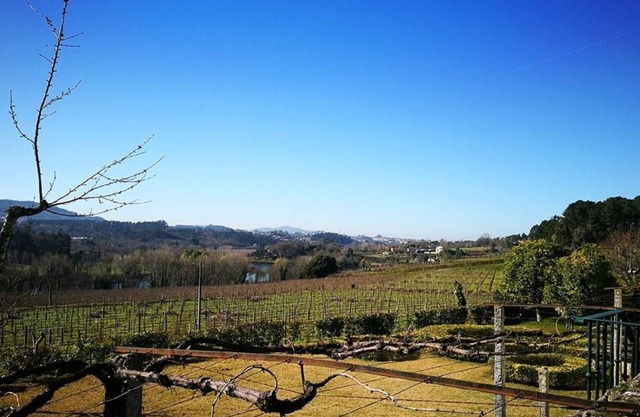 Solar das Bouças Farm - Three Bedroom House II
