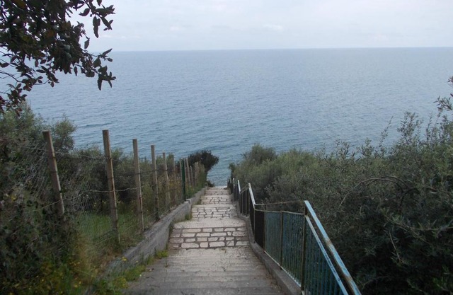 Soleli