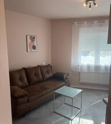 Solesmes splendide appartement