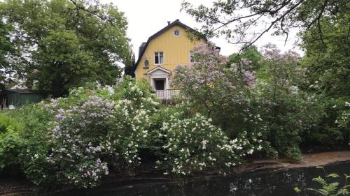 Solhuset intill ån