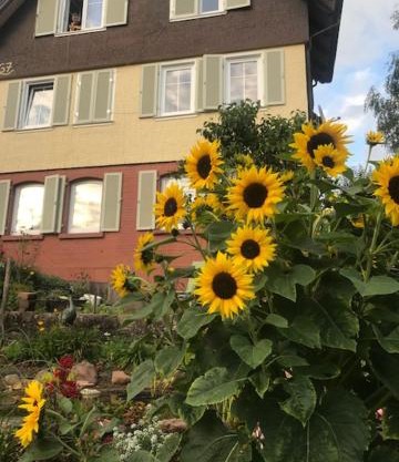 sonnige Ferienwohnung