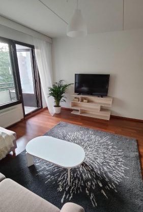 Spacious 3-room stay near Airport