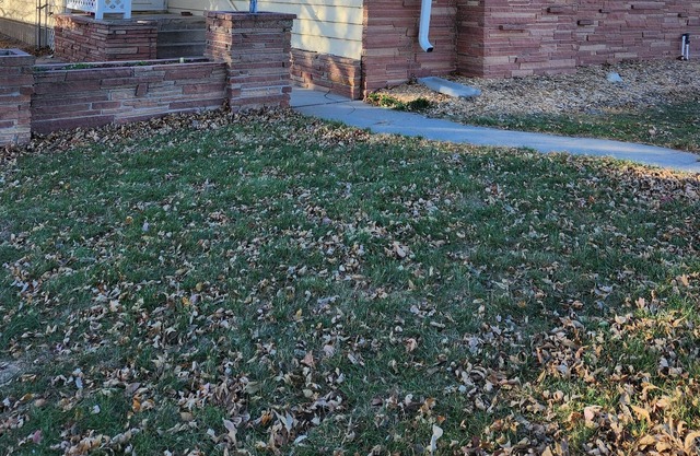 Spacious 4-bedroom house close to the university