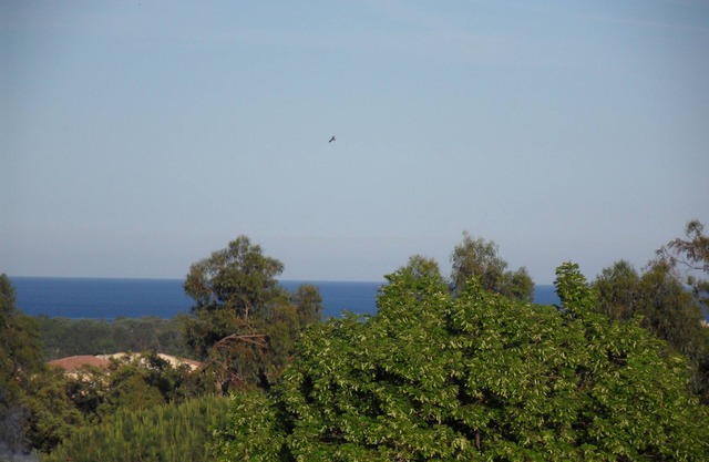 Spacious apartment in lower villa