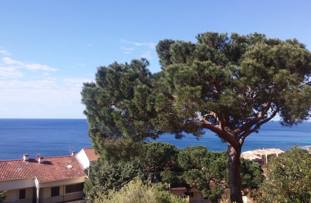 Spacious F1 road of the Sanguinaires Islands large terrace sea view near beaches