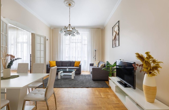 spacious family apartment in the city center