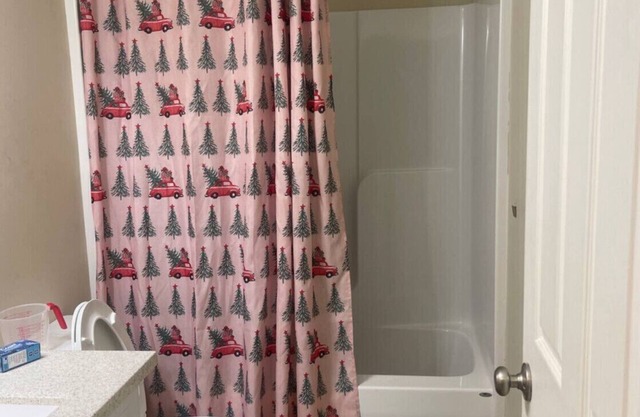 Spacious Home, Saint Paul MN