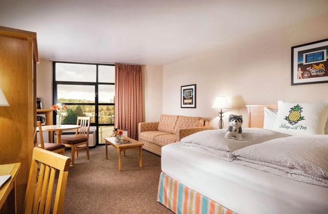 Spacious Junior Suite w/Pool in Vibrant University District | Free Parking