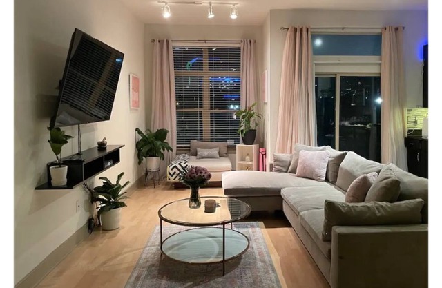 Spacious Loft - Downtown View